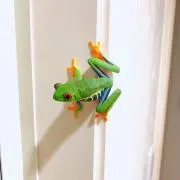 83330032の画像