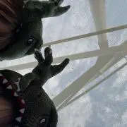 あの画像