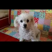 さっちゃんの画像
