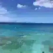 小田志焼 規窯 井上規 造 掻落台付皿 2個 共箱 - メルカリ