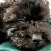 こうぞう