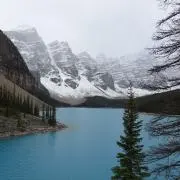 フカの画像