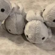 ゆりさの画像