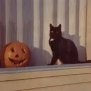 Autumnの画像