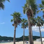 みぅ。