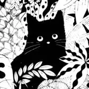 Sの画像