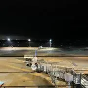 たかの画像