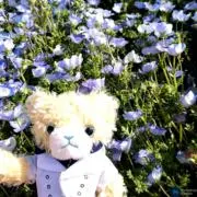 にっちゃんの画像