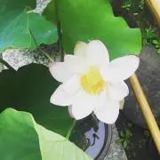 happy☆の画像