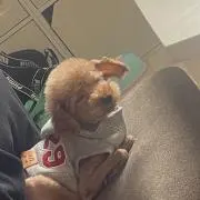 mi@格安出品中