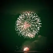 ogoの画像