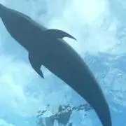 ジャーヴィス