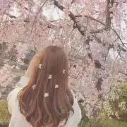 とまとの画像