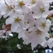都島の画像
