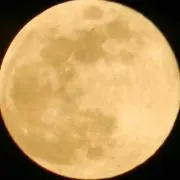 K'z