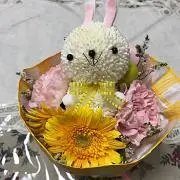KMの画像