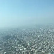 り