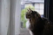 むーさんの画像