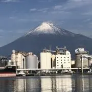 アップルメロンの画像