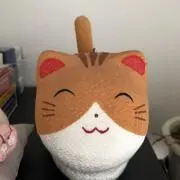 ねこたろうの画像