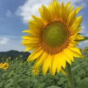 (^^)