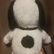 マロンの画像