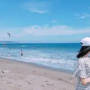 とある青いヤモリ♪の画像