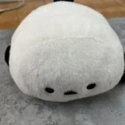 いかかき