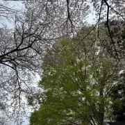 0️⃣の画像