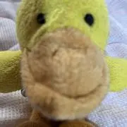 スヌヌの画像