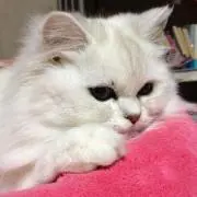 あ〜ちゃん(*^^*)