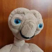 メルロンの画像