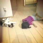 なみ