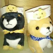 おまっちゃの画像