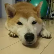 ひろ