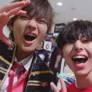 ちゃの画像