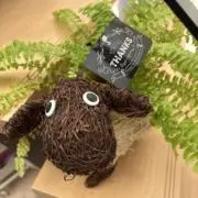 Koikeの画像