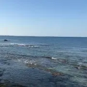 ゆうなそうの画像