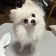 さっぴ