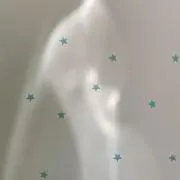 ☘️の画像