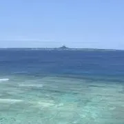 umiの画像