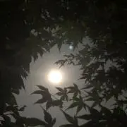 魚好きの画像