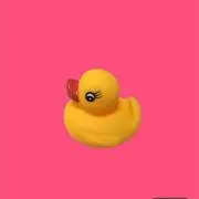 がーこ