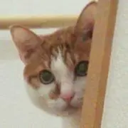 みるかりん
