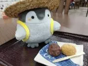 ぼんちゃんの画像