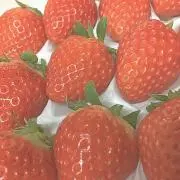 Nの画像