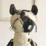 mimi