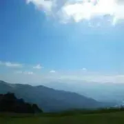 ぽんちき