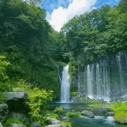 ぱんだまま お値引交渉お気軽に