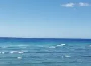 ゆず プロフ必読
